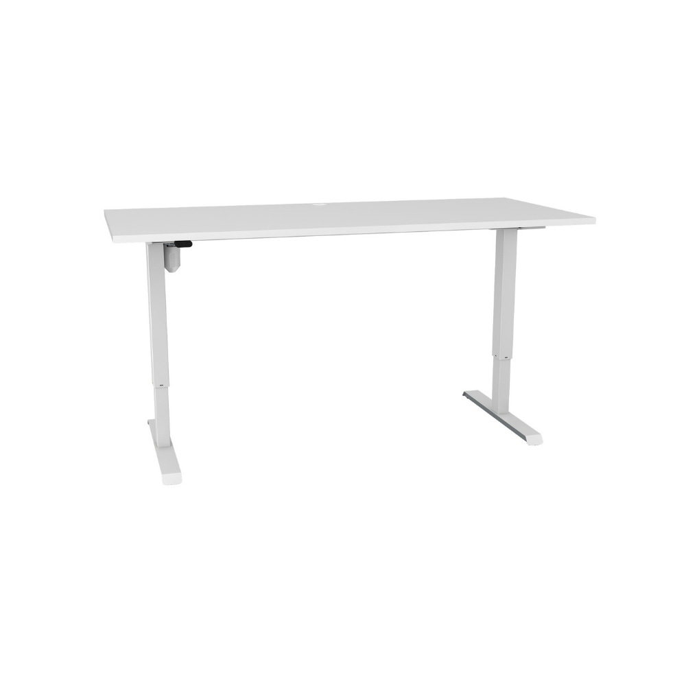 EASY Sit Stand Electric Stand Desks