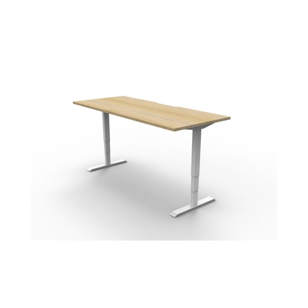 Boost Electric Height Adjustable Stand Desks