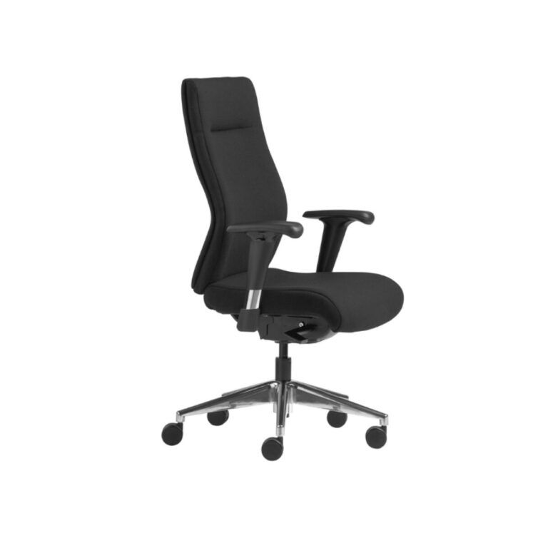 5 Best Office Chair For Lower Back Support Direct Office