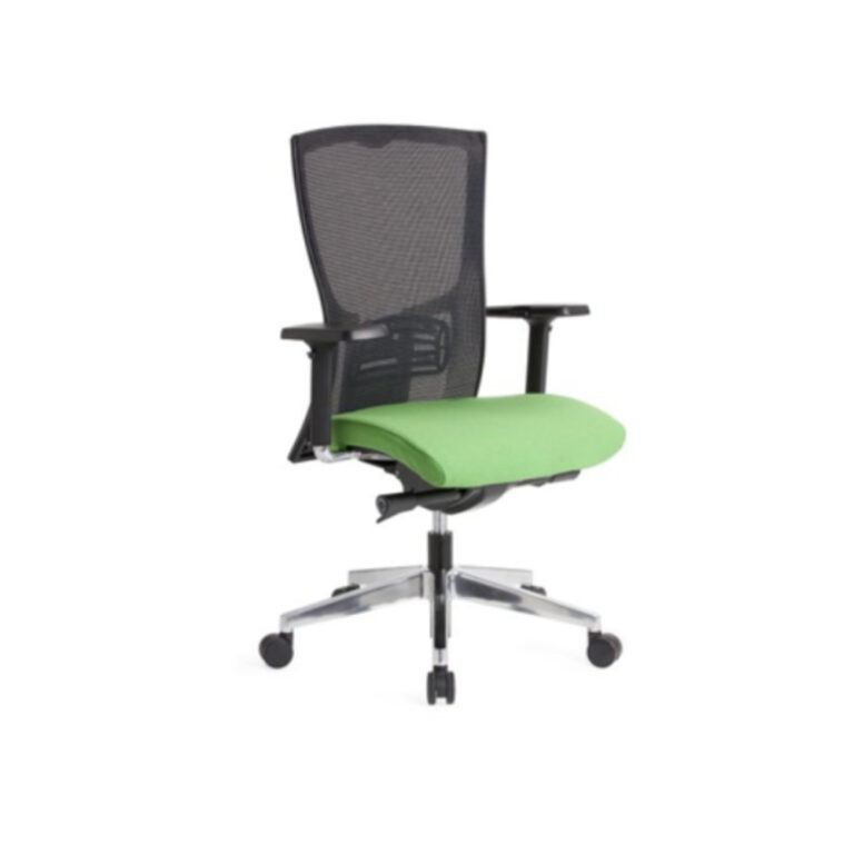 5 Best Office Chair For Lower Back Support Direct Office