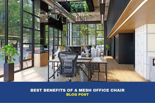 Best Benefits of a Mesh Office Chair